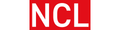 Net Consulting Ltd Logo