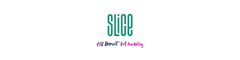 Senior IT Technician Logo