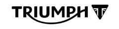 Triumph Logo