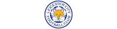Premier League Primary Stars Coach Logo