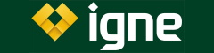 Network and Security Engineer Logo