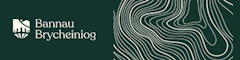 Senior Planning Officer Logo