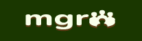 Site Engineer Logo