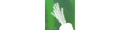 Solution Architect Logo
