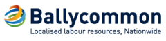 Site /Setting Out Engineer Logo