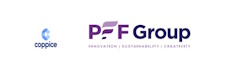Senior IT Engineer and Modernisation Lead Logo