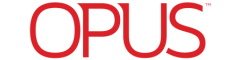 Business Analyst/Process Improvement Lead Logo