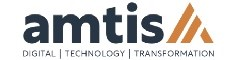 Infrastructure Analyst Logo