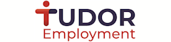 Security Systems Engineer Logo