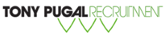 Panel Wirer - Electrical Assembly Logo