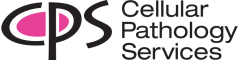 Trainee Administrator Logo