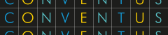 Conventus Solutions Ltd Logo