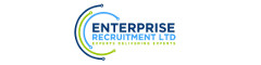Senior Embedded Systems Engineer Logo